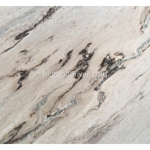 Palissandro Durable Marble Slab voor bouwen